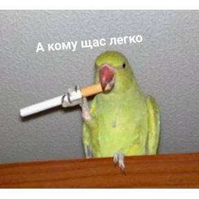 excuse me — стикер для MAX
