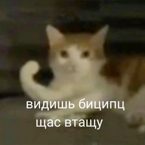 excuse me — стикер для MAX