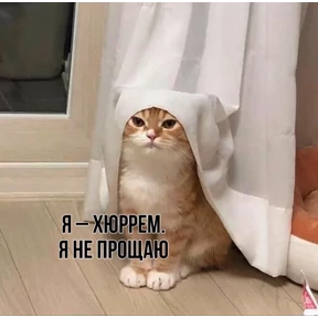 excuse me — стикер для MAX