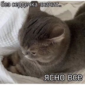 excuse me — стикер для MAX