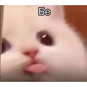 excuse me — стикер для MAX