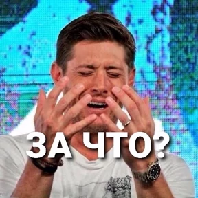 excuse me — стикер для MAX