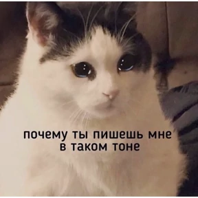 excuse me — стикер для MAX