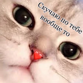 excuse me — стикер для MAX