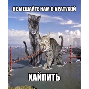 фуфлометр — стикер для MAX