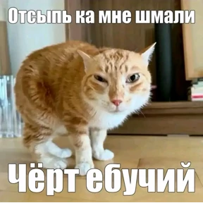 фуфлометр — стикер для MAX