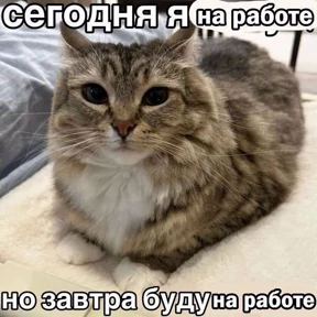 фуфлометр — стикер для MAX