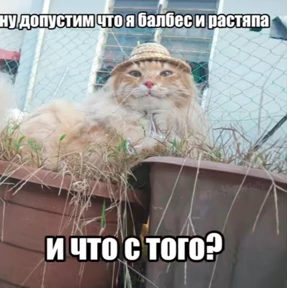 фуфлометр — стикер для MAX