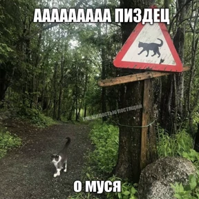 фуфлометр — стикер для MAX