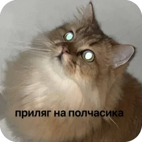 Булосьная полисия — стикер для MAX