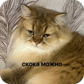 Булосьная полисия — стикер для MAX
