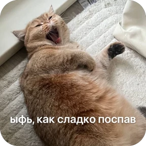Булосьная полисия — стикер для MAX