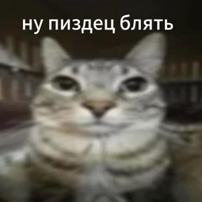 Нуя — стикер для MAX