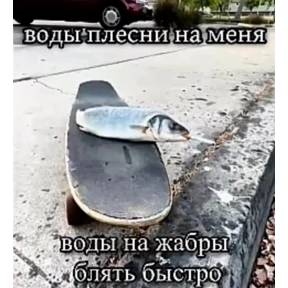 swag next door — стикер для MAX
