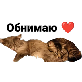 Воть как то так — стикер для MAX