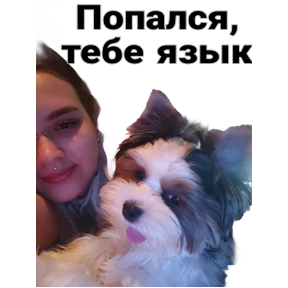 Воть как то так — стикер для MAX