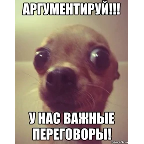 Набор — стикер для MAX