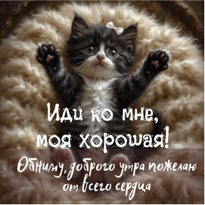 Наборчик — стикер для MAX