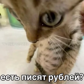 Нуя — стикер для MAX