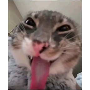 Нуя — стикер для MAX