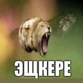 Мемесы для мемс — стикер для MAX