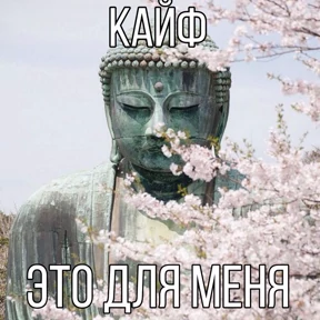 Мемесы для мемс — стикер для MAX