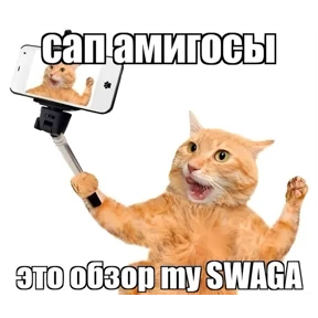 rizZaaxX — стикер для MAX