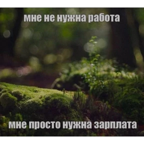 rizZaaxX — стикер для MAX