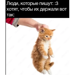 rizZaaxX — стикер для MAX