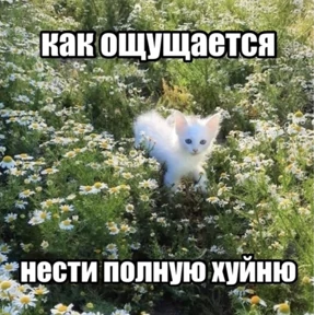 rizZaaxX — стикер для MAX