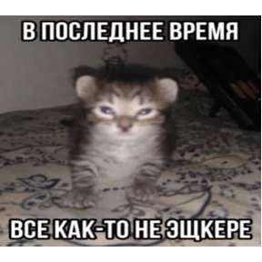 rizZaaxX — стикер для MAX