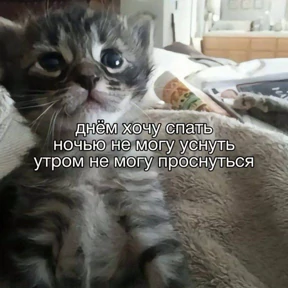 rizZaaxX — стикер для MAX