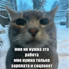 rizZaaxX — стикер для MAX