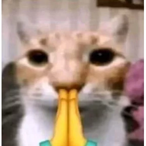 Нуя — стикер для MAX