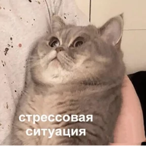три крысы — стикер для MAX