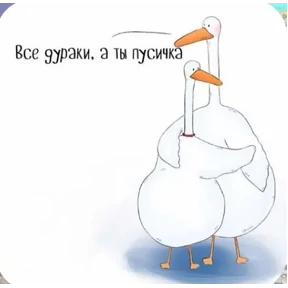Солянка — стикер для MAX