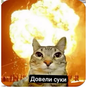Солянка — стикер для MAX