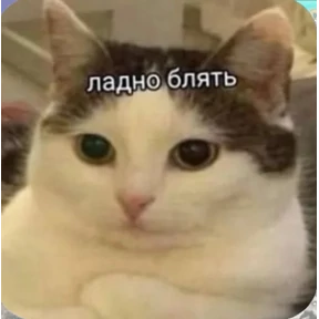 Солянка — стикер для MAX