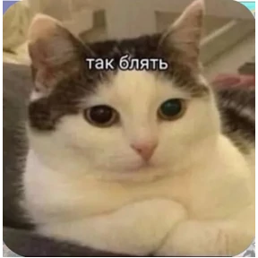 Солянка — стикер для MAX