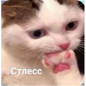 Солянка — стикер для MAX