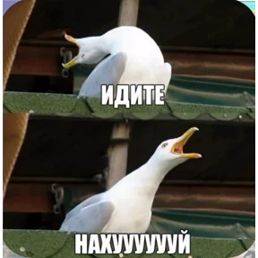 Солянка — стикер для MAX