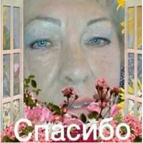 Солянка — стикер для MAX