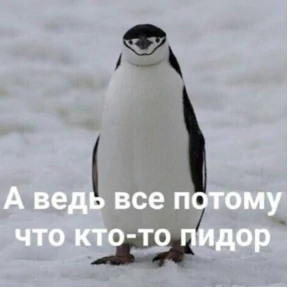 Солянка — стикер для MAX