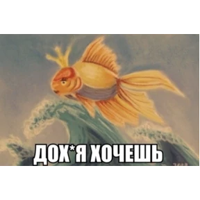 Солянка — стикер для MAX