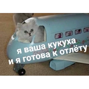 Солянка — стикер для MAX