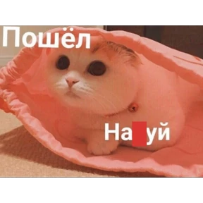 Солянка — стикер для MAX