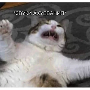 Солянка — стикер для MAX