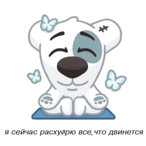 Солянка — стикер для MAX