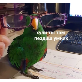 Солянка — стикер для MAX