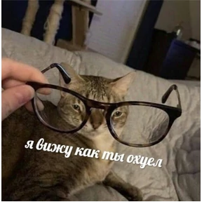 Солянка — стикер для MAX
